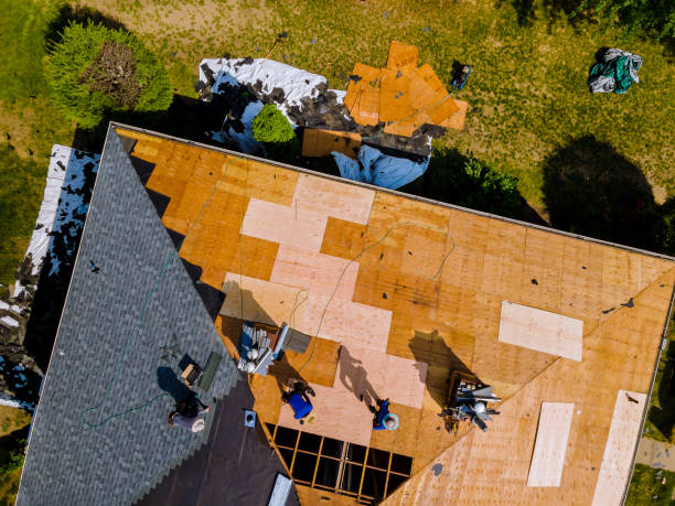 Best Shingle Roofing Installation  in Falling Waters, WV